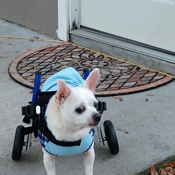 CLEARANCE SALE - Picture 2 of 3